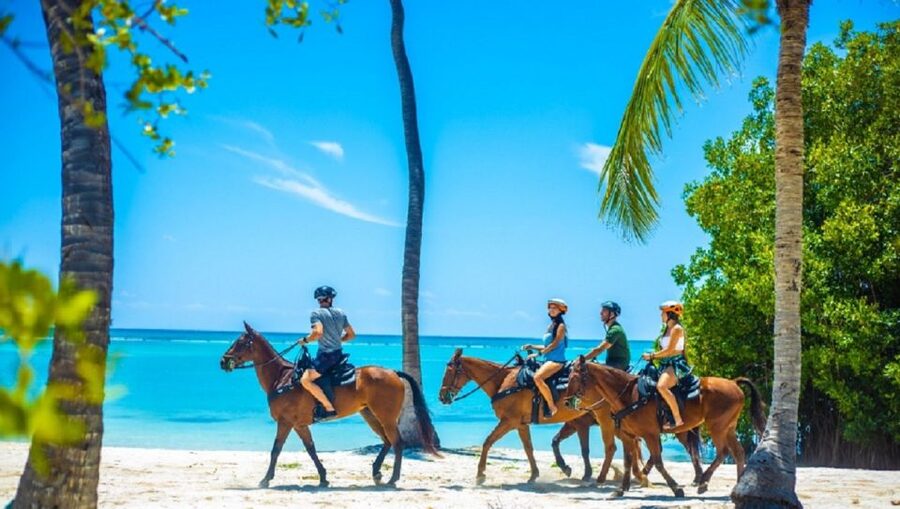 Swim Horse fom Punta Cana - Horses, guides, and the caring factor