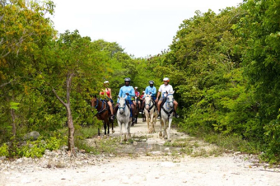 Swim Horse fom Punta Cana - The 4-hour flow: forest ride, springs, Caribbean swim, mangrove snack