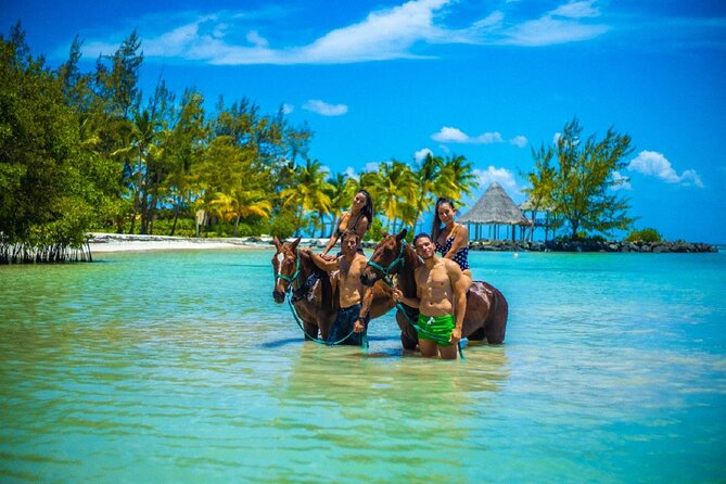 Swimming with Horses at the Beach from Punta Cana Free transportation - Horse Beach Magic: What You Actually Get From This Punta Cana Experience