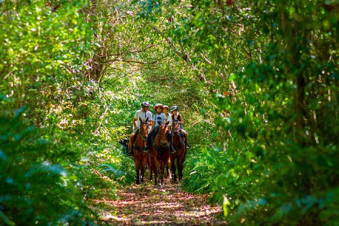 Swimming with Horses at the Beach from Punta Cana Free transportation - Laguna Limon and Rural Village Flavor: Why the Off-Path Stops Matter