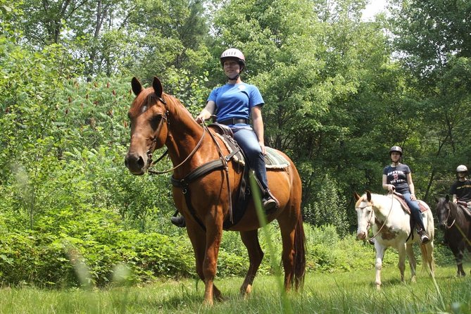 Swimming with Horses at the Beach from Punta Cana Free transportation - Price and Logistics: Is $119 Good Value for What You Get?