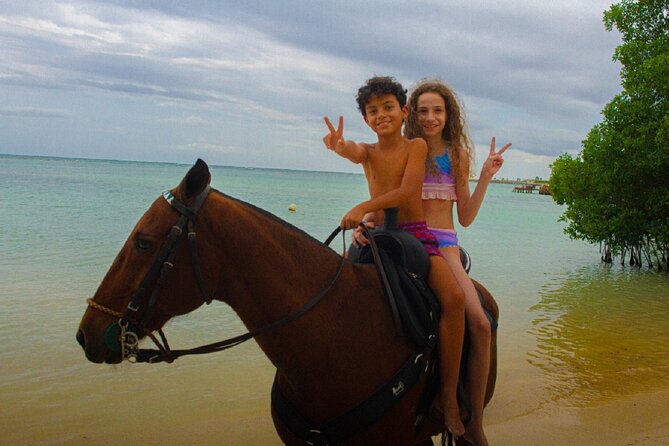 Swimming with Horses at the Beach from Punta Cana Free transportation - Who This Tour Suits Best (And Who Should Skip It)