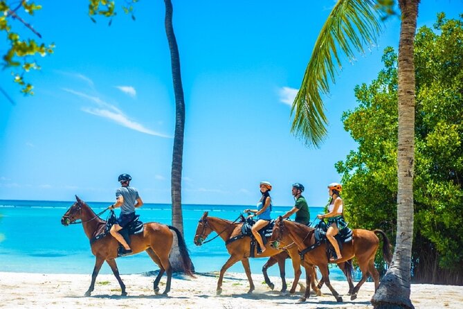 Swimming with Horses at the Beach from Punta Cana Free transportation - The Horse Swim Moment, Including the Part Where Time Feels Short