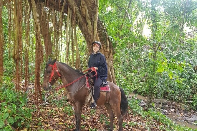The Ultimate Dominican Horseback Riding Adventure - Key highlights to look for