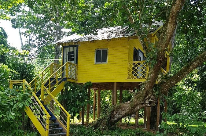 The Ultimate Dominican Horseback Riding Adventure - Mountain-top payoff: 360-degree views and the swings moment