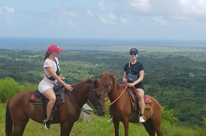 The Ultimate Dominican Horseback Riding Adventure - Paso Higueyano horse exhibition: a proud Dominican tradition