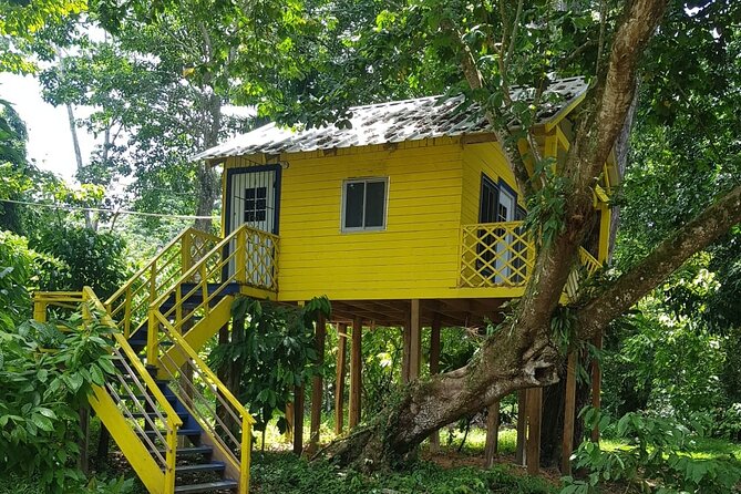 The Ultimate Dominican Horseback Riding Adventure - Cocoa planting, wild fruit tasting, and those little farm moments