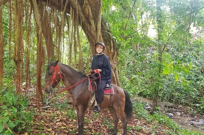 The Ultimate Dominican Horseback Riding Adventure - Price and value: why $79 can feel fair for what you get
