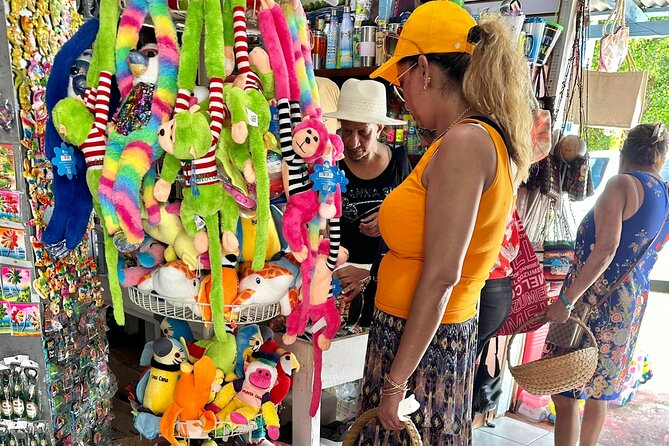 Tour of Souvenirs, Shopping in Punta Cana with Transportation Included - Transportation and timing: why “private” matters for shop trips