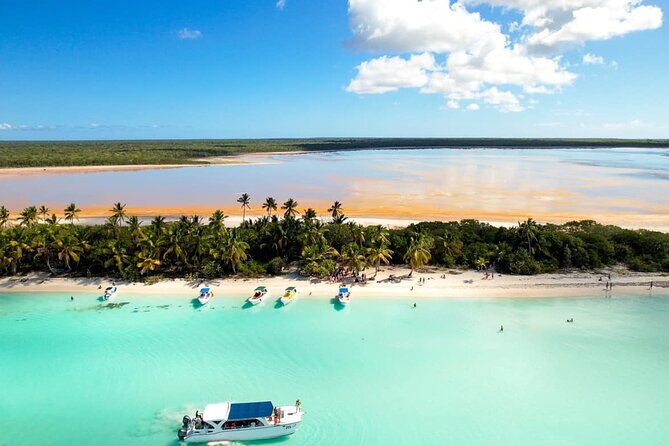 Tour to Isla Saona From Punta Cana with Transportation and Lunch - Transport and Boat Ride: Air-Conditioned Calm, Then Sea-Party Energy