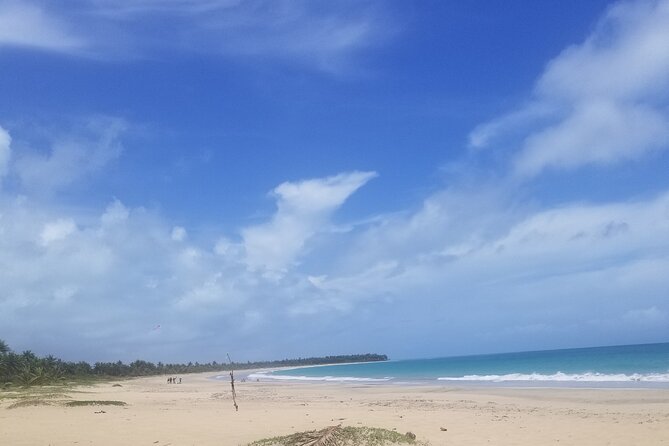 Tour to Montana Redonda and Emerald Coast Beach - Guides matter: Alexander the Great (El Pastor) and Robinson