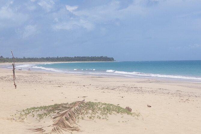 Tour to Montana Redonda and Emerald Coast Beach - Who this tour suits best