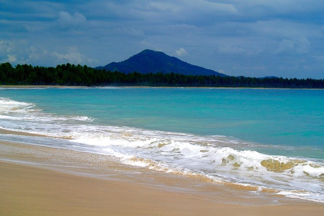 Tour to Montana Redonda (Round Montain) & Costa Esmeralda Beach - Stop 2: Playa Esmeralda, forest ride, then beach calm