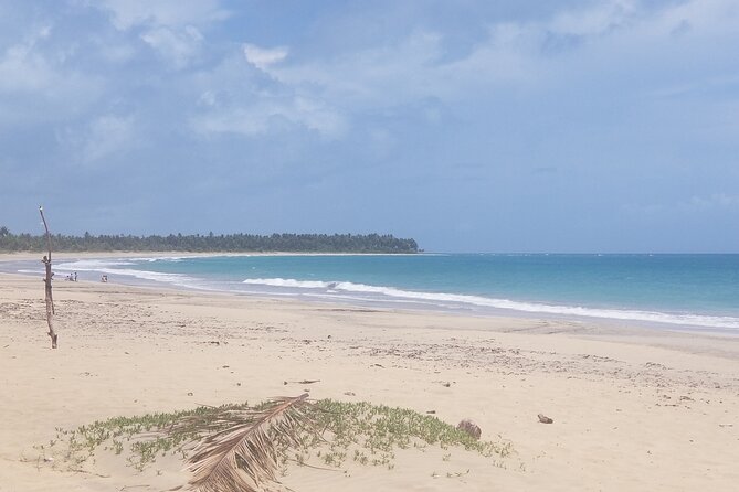 Tour to Montana Redonda (Round Montain) & Costa Esmeralda Beach - Should you book Montaña Redonda and Playa Esmeralda?