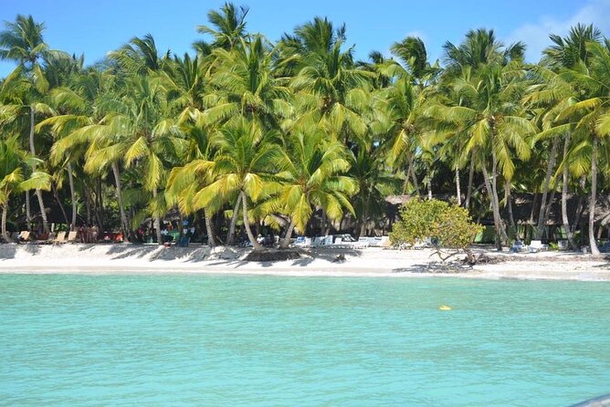 Tour to Saona Island with Lunch and Transportation - Price check: what $75 gets you and where you might spend extra