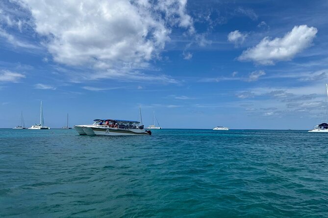 Tour to Saona Island with Lunch and Transportation - The island portion: Playa Bayahibe beach time and lunch