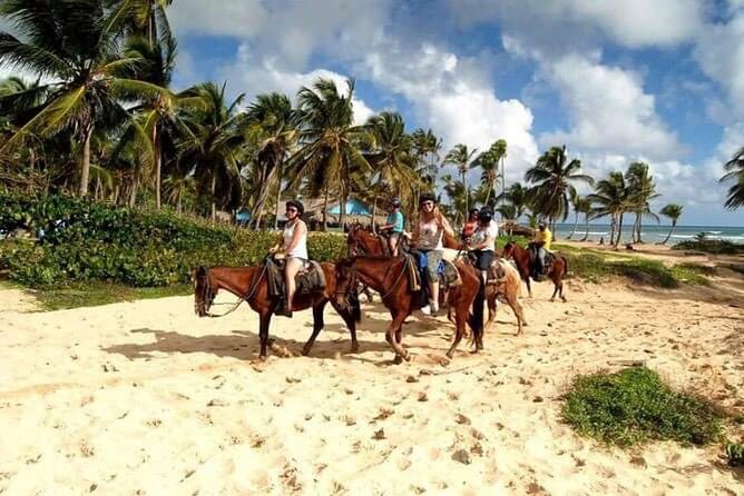 Trial Pack Punta Cana - Common Snags to Watch: Cart Swaps, Explanation Quality, and Valuables