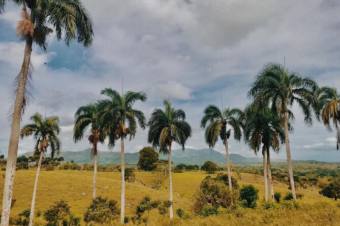 Tropical Escape Tour - The Countryside Horseback Ride: Fun, But Go in With the Right Mindset