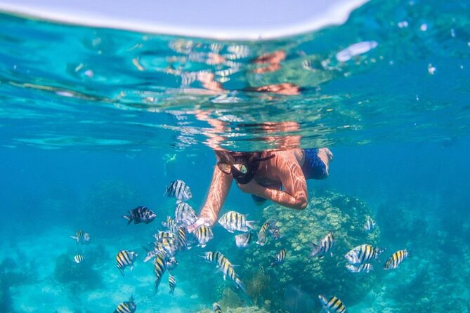 Tropical Punta Cana Booze Cruise – Snorkel, Sandbar & Party Vibes - Practical Tips Before You Go (So the Day Stays Fun)