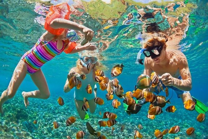 Tropical Punta Cana Booze Cruise – Snorkel, Sandbar & Party Vibes - Cabeza De Toro Snorkeling: Coral Reef Time You Can Actually Use