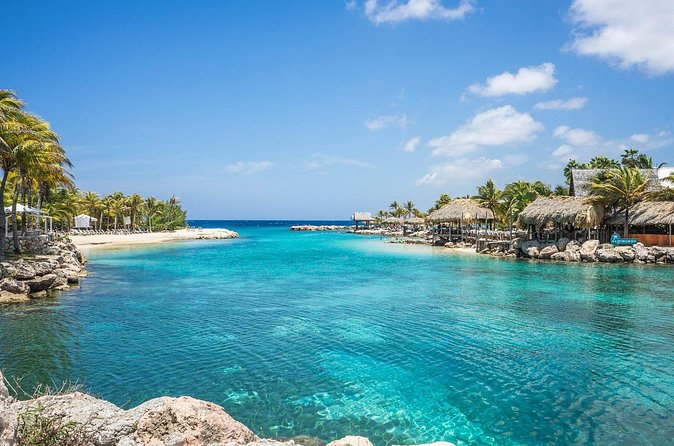 TRS Turquesa- Round Trip Shuttle - Punta Cana Airport - Price and Logistics: When $76 Feels Like a Smart Move
