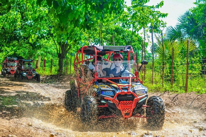 Ultimate Dune Buggy and ATV Adventure with Cenote, Beach & Ranch - Key things I’d note before you go