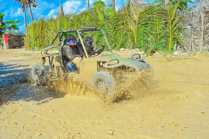 Unlimited Fun in Buggy and ATV and Horses in Punta Cana - Key highlights you should know
