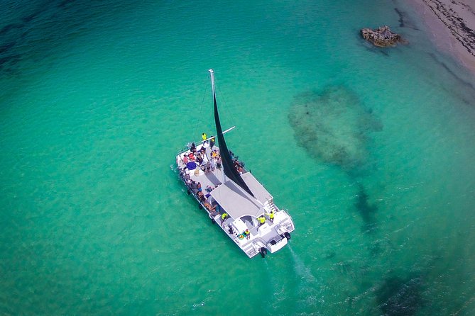 Up to 15 passengers Private Catamaran Sailing from Punta Cana - First, the Practical Setup: Pickup, Dock, and What 3 Hours Really Means