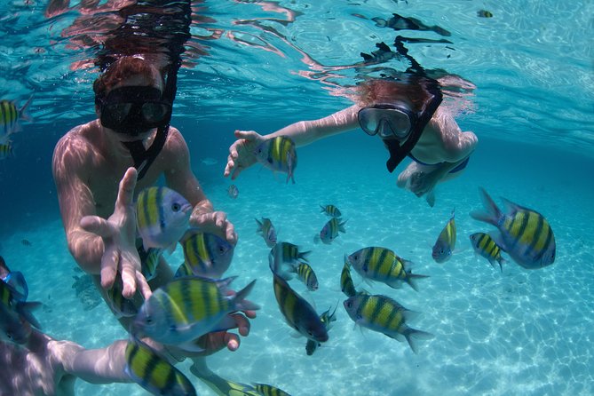 Up to 15 passengers Private Catamaran Sailing from Punta Cana - Transportation and Meeting Point: How Easy It Is to Get There
