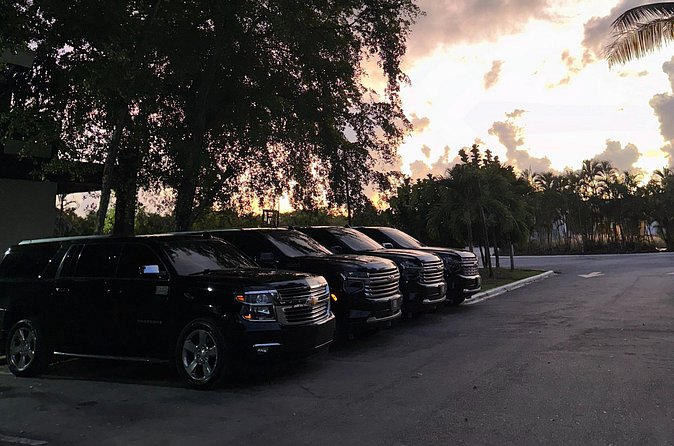 VIP Executive Airport Transfer – Luxury Ride in Punta Cana - Hotel Zones and Pickup Accuracy: Punta Cana, Bavaro, Cabeza de Toro, and More