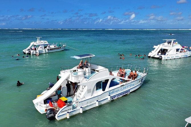 VIP Private Booze Cruise with Live Dj and BBQ in Punta Cana - Key things I would circle before you book