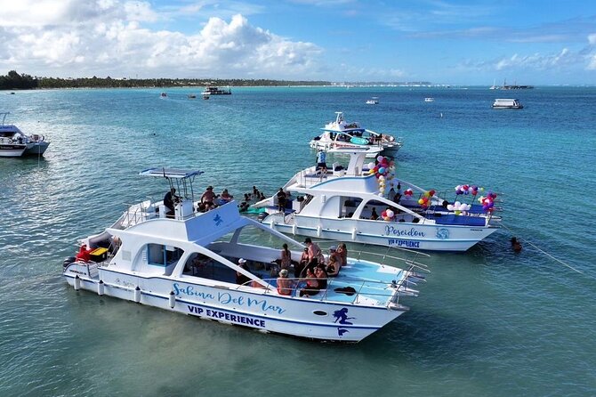 VIP Private Booze Cruise with Live Dj and BBQ in Punta Cana - What a VIP Booze Cruise Means in Punta Cana