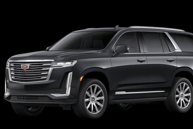 VIP Private Round-Trip Transfer from Punta Cana Airport - Drivers and communication: when the service shines