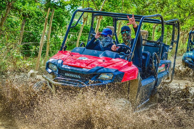 Vip Punta cana Buggies - The Ranch Stop: Coffee, Cacao, and Tobacco Up Close
