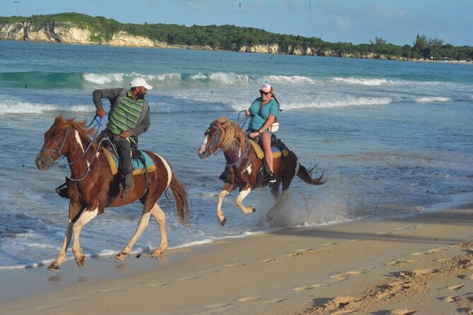 Want to Learn to Gallop at Bavaro Punta Cana Beach! - Key Highlights You Should Not Miss