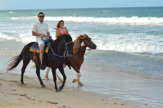 Want to Learn to Gallop at Bavaro Punta Cana Beach! - From Hotel Pickup to Rancho Un Regalo De Dios, What the Start Feels Like