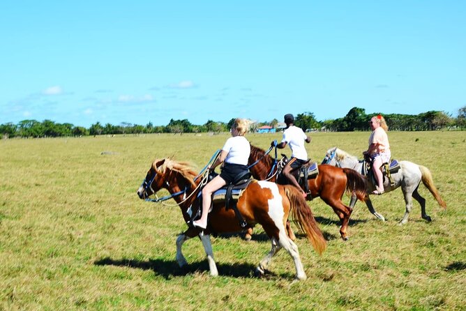 Want to Learn to Gallop at Bavaro Punta Cana Beach! - The Ride Through Beach and Countryside, Then Into the Forest