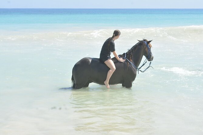 Want to Learn to Gallop at Bavaro Punta Cana Beach! - Boca de Maimón: The River Meets the Sea Spectacle