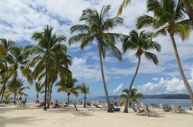 Whale Watching and Bacardi Island day trip from Punta Cana - Who this tour fits best (and who should consider alternatives)