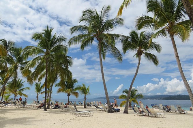 Whale Watching and Bacardi Island day trip from Punta Cana - Should you book this whale watching and Bacardi Island day trip?