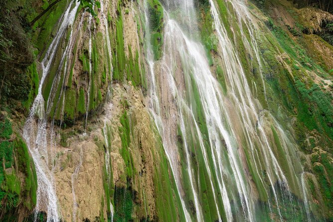 Whale Watching, Cayo Levantado and Limón Waterfall in Samaná - Price and Logistics: What $170 Really Covers