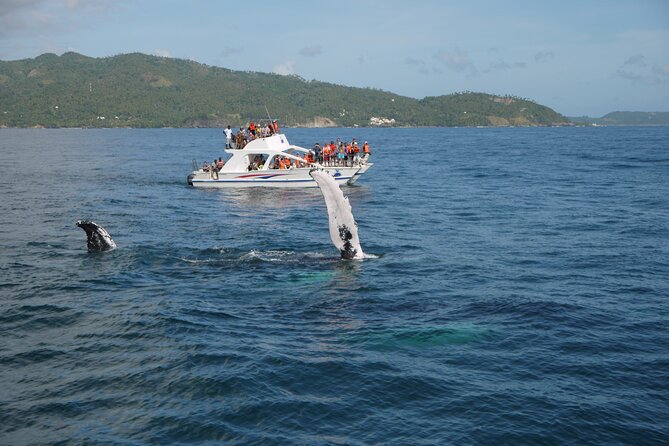 Whale Watching & Limón Waterfall Day Trip - El Salto del Limon: 165 feet of waterfall plus a serious step workout
