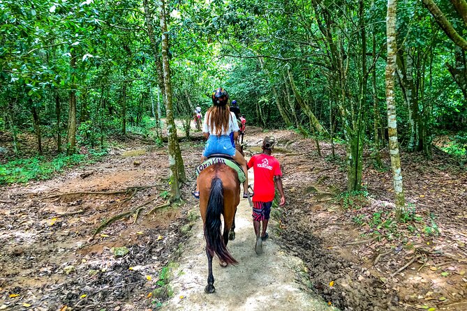 Whale Watching & Limón Waterfall Day Trip - The long-transport reality: how to make the day feel shorter