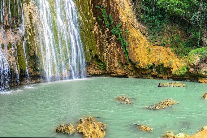 Whale Watching & Limón Waterfall Day Trip - Who should book this day trip, and who should skip it