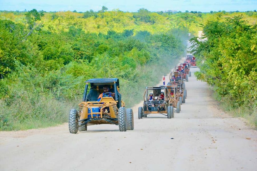 Wild Tiger Buggy: The Best Buggy Excursions in Punta Cana - Ranch Tasting Stop: Chocolate, Coffee, Mamajuana, and Cigars