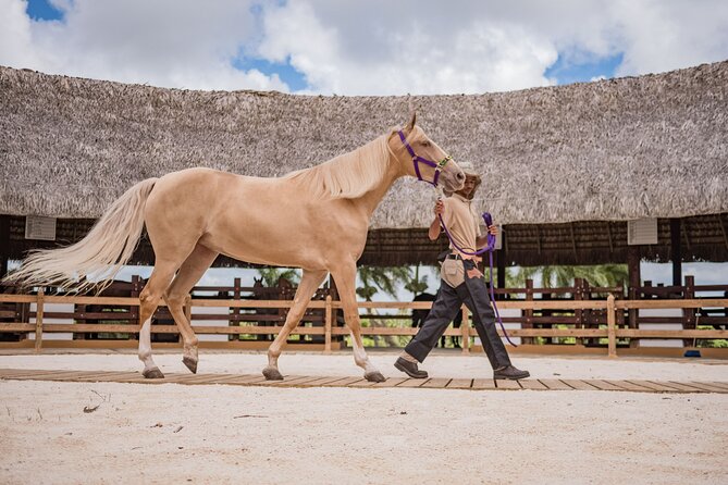 Xploration Animal Encounters Half Day Tour from Punta Cana - Price and value: is $90 a fair deal?