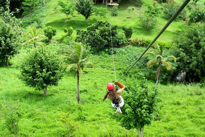 Zip Line in Punta Cana - The Walk-In Setup, Then Six Jungle Runs