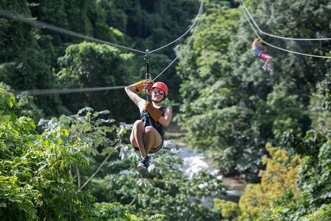 Zipline Adventure in Punta Cana – Thrilling Canopy Experience - Who Should Book This Zipline and Who Might Skip It