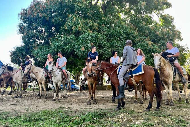 Zipline,Dune Buggy,Horse Riding - Horseback Riding Through Cocoa Country and a Dominican Home Stop